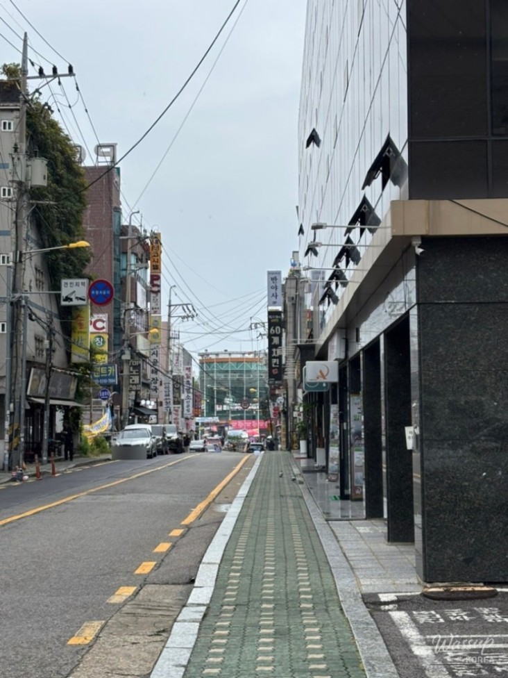 놀라운 광경