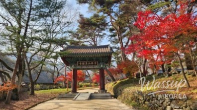 Peaceful Scenery
