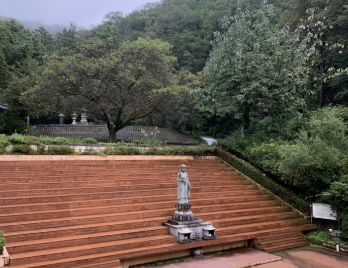 A Solo Temple Stay: Finding Peace and Self-Reflection100