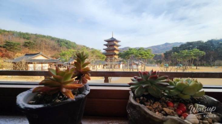 Peaceful Scenery