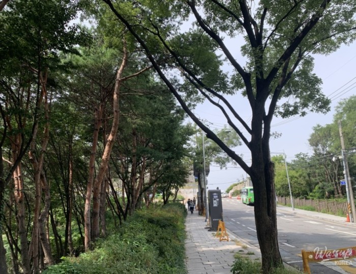 Donut Jeongsu: A Cafe with a View in Changsin-dong float