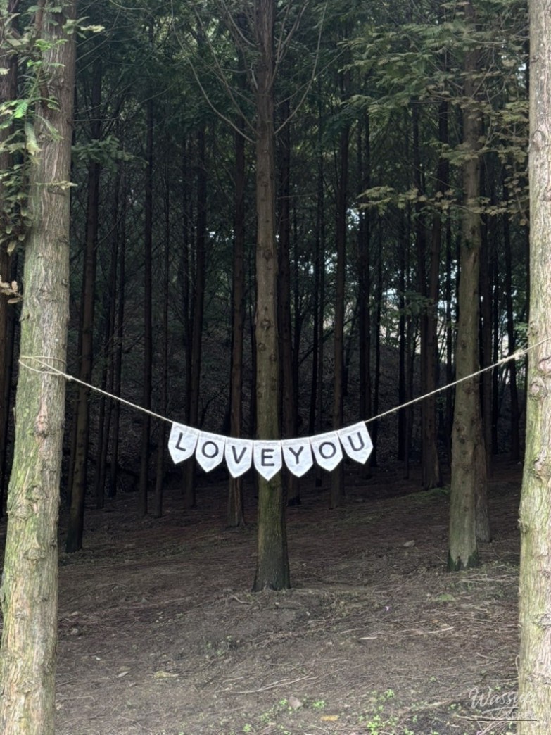 A charming photo of the floral details in the European hydrangea garden