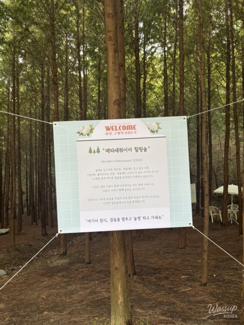 Peaceful landscape of the open fields surrounding the hydrangea paths
