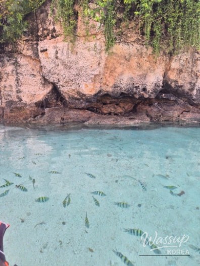 A Valuable Experience