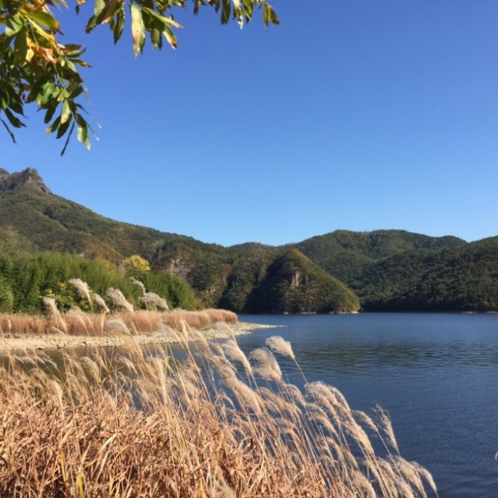 Traditional Chinese landscape painting representing the cold rain and Furong Tower at night