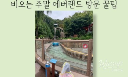 A family wearing raincoats while waiting for the water flume ride at Everland