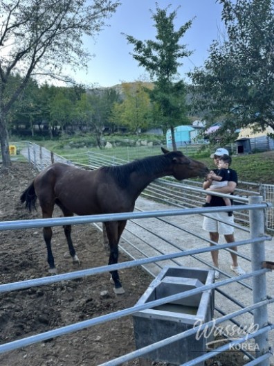 Mysterious Appearance