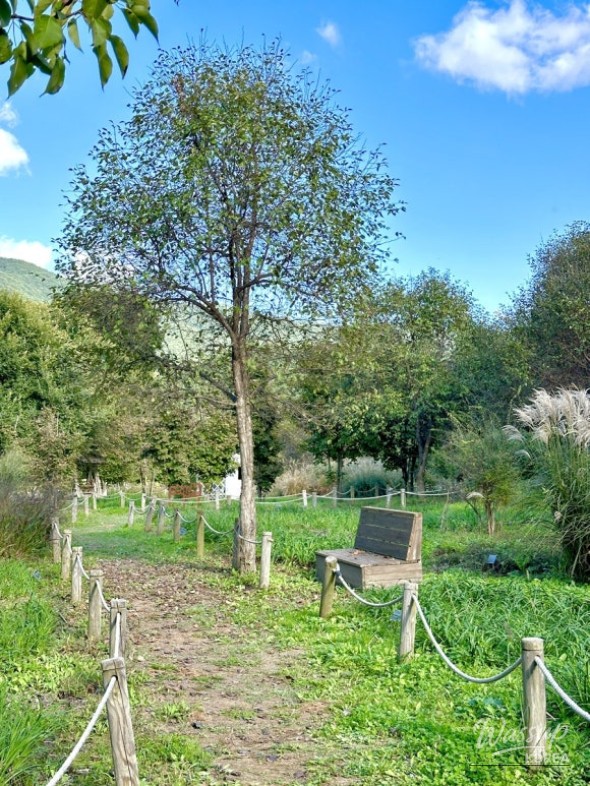 A precious memory of the traditional architecture and courtyard at Nongam Jongtaek