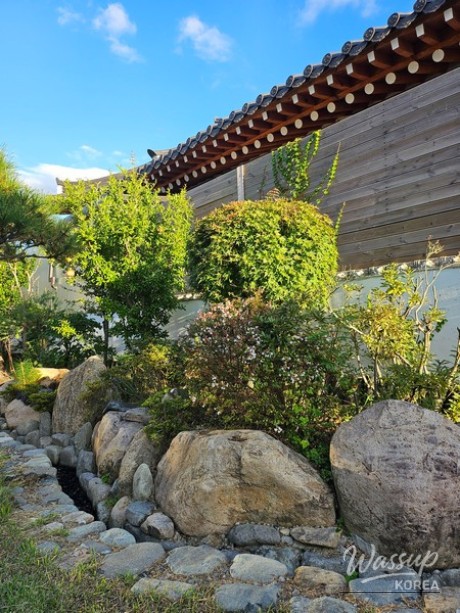 인상 깊은 모습