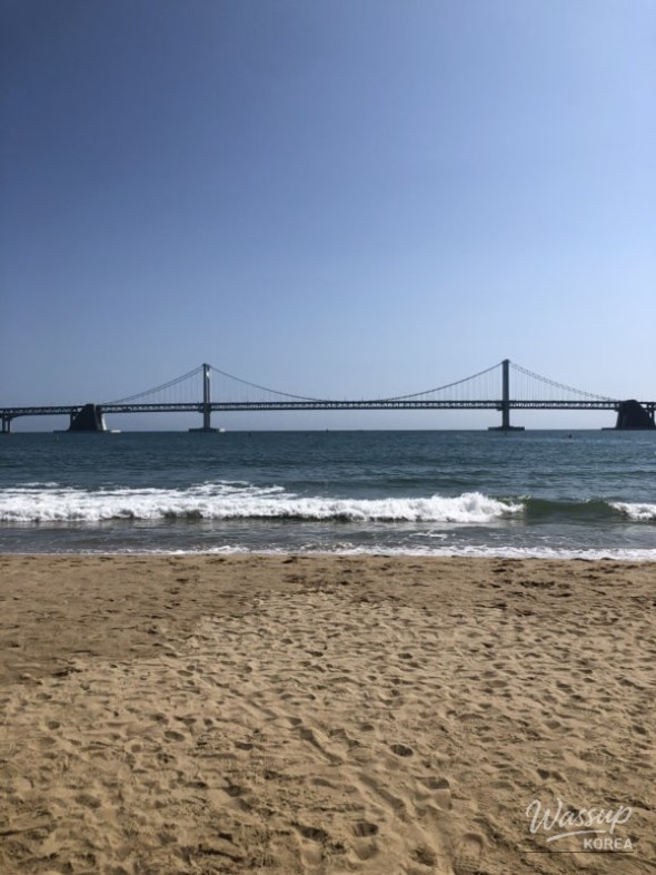 Mysterious appearance