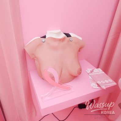 A Beautiful Landscape