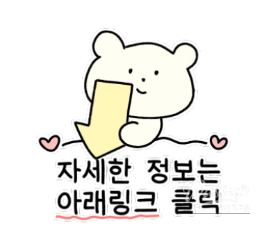 Passengers boarding an airport limousine bus with luggage