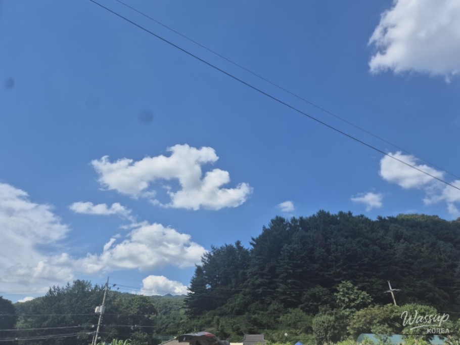 Traditional Korean royal dessert set served in a historic pavilion at Gyeongbokgung Palace