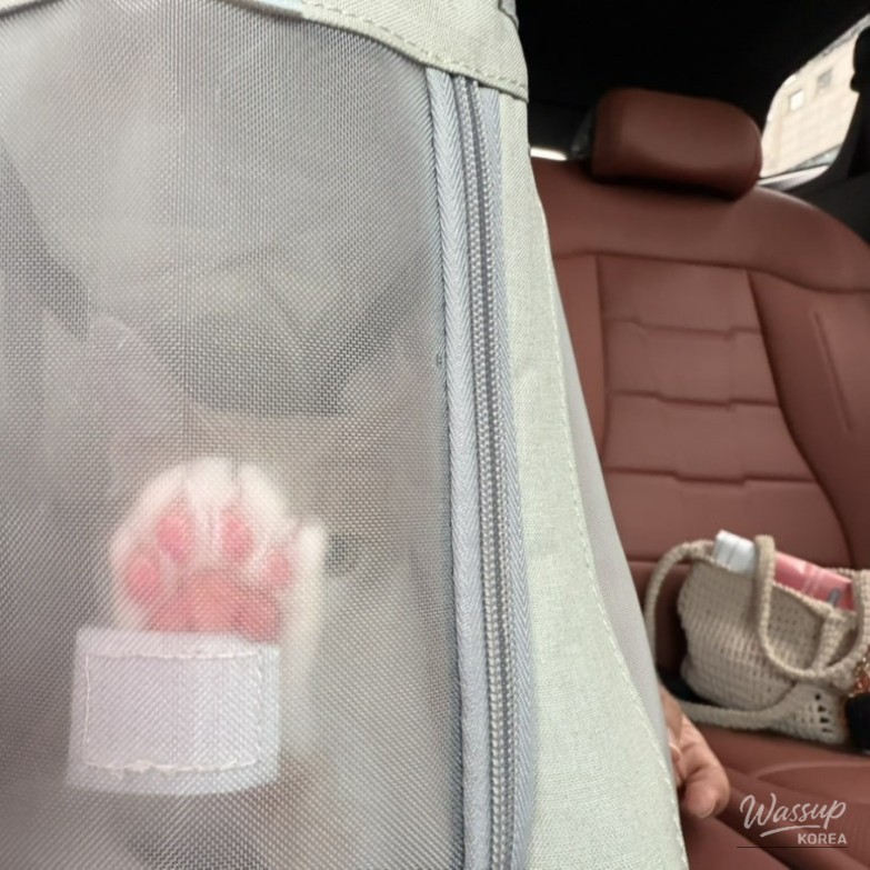 Amazing spectacle of vibrant pink jelly paws of a cute cat