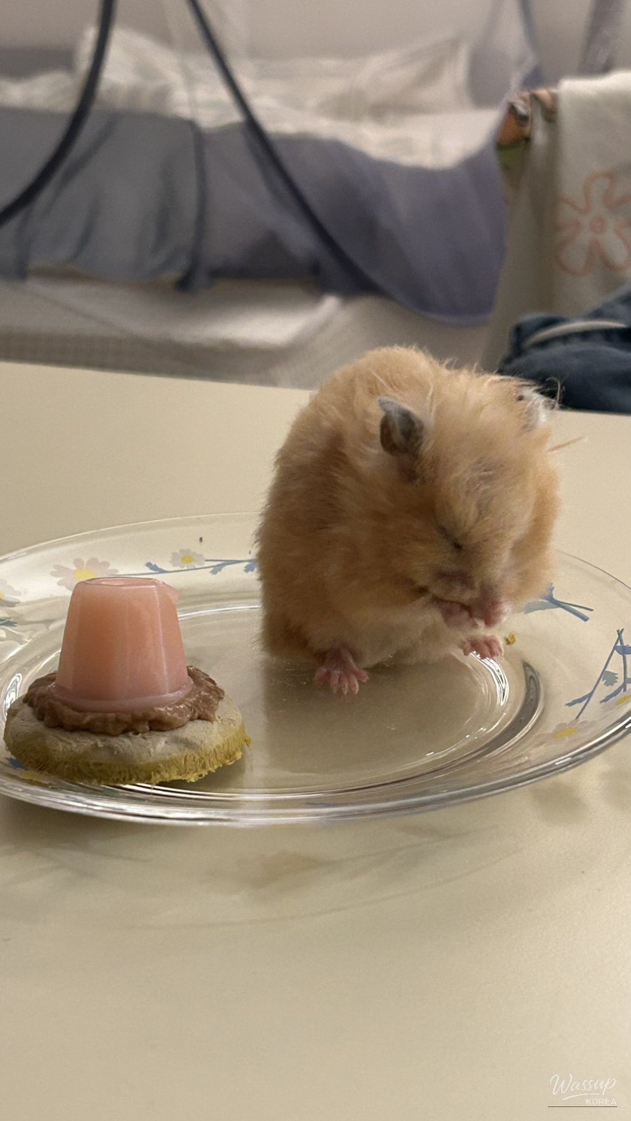 A hopeful and bright night at Jamwon Hangang Park during a picnic