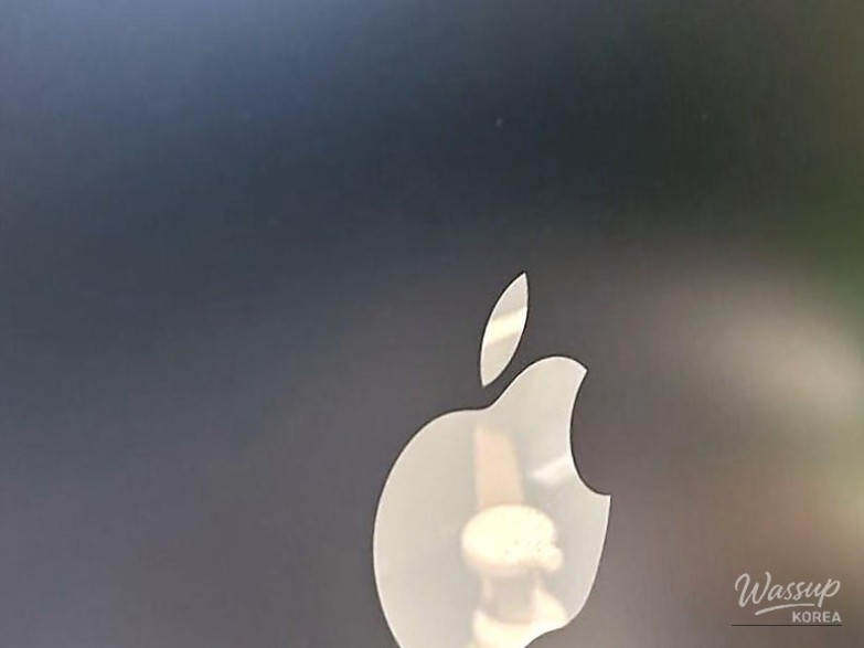 Precious memory captured with a pet in a professional studio setting