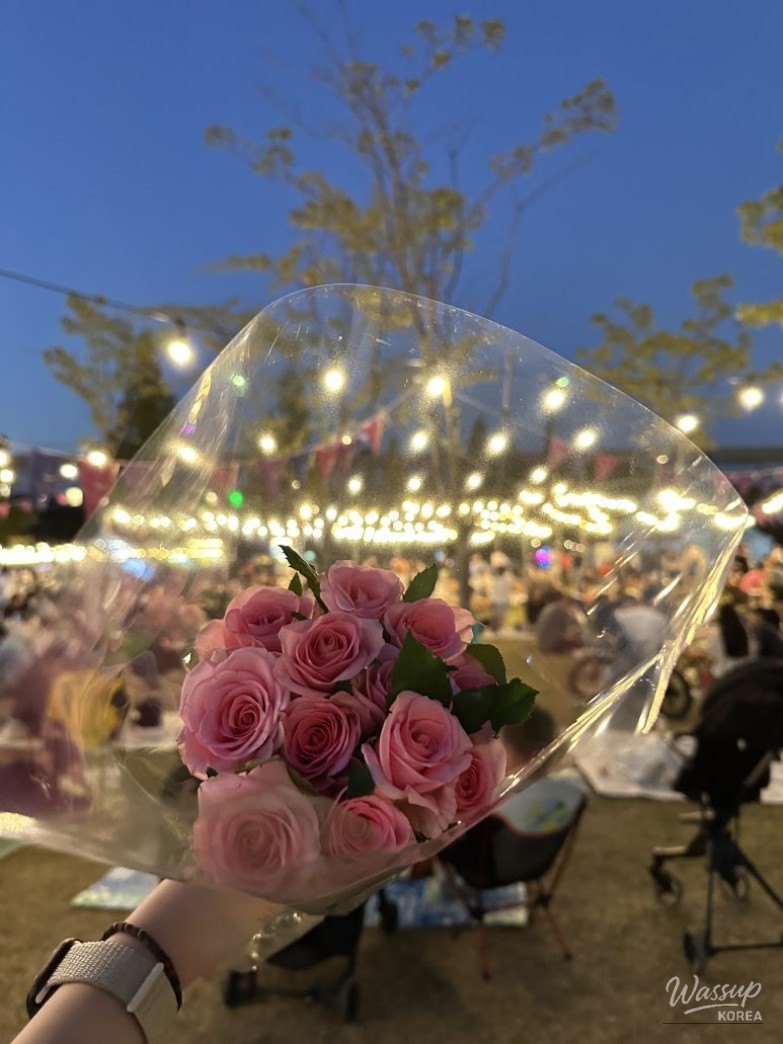 Impressive sight of lanterns decorating the park deck roads