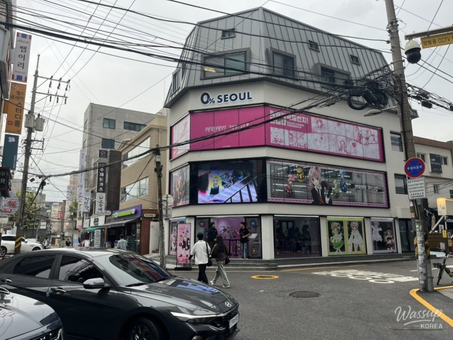 A heartwarming scene of a middle-aged dog named Yeon-du greeting a visitor