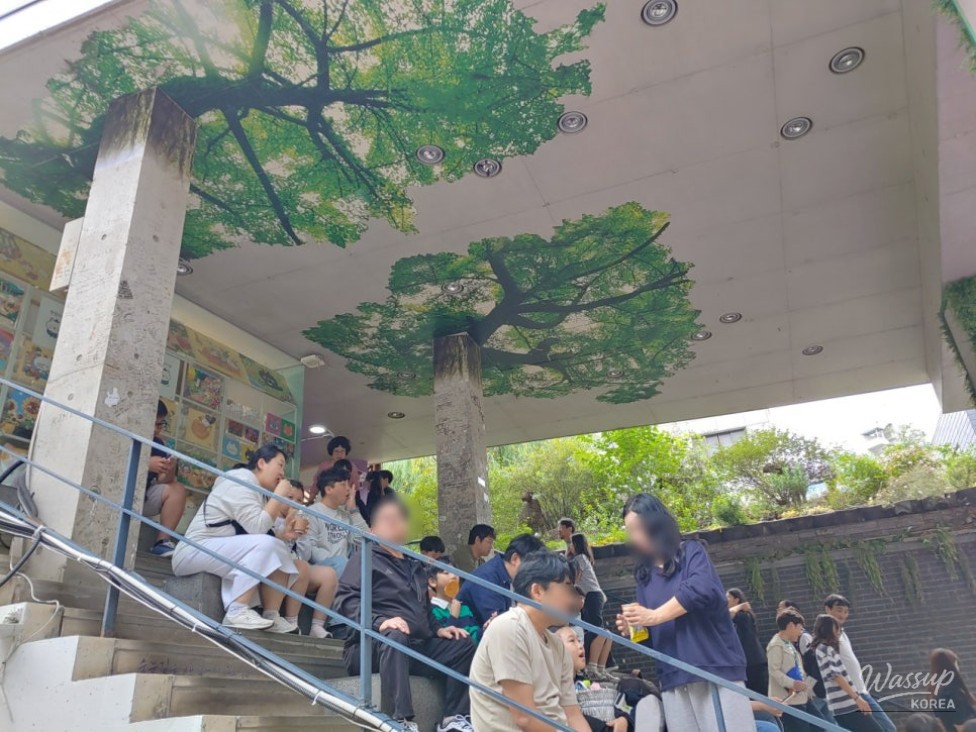 A steaming cup of traditional Korean tea inside a cozy, wooden Insadong teahouse