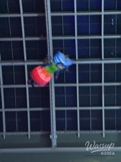 The grand entrance of the National Museum of Korea