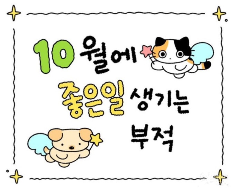 Fan uniform and baseball game gear laid out