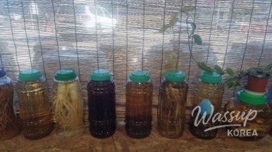 Delicious and satisfying