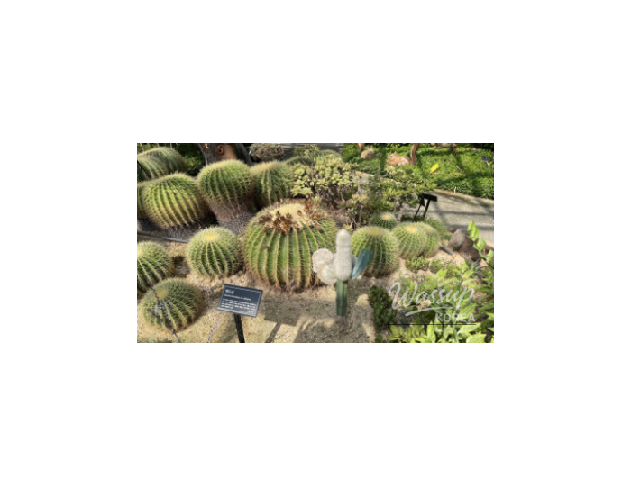 Pyeongtaek Agricultural Ecology Park: A Perfect Family Outing Destination float