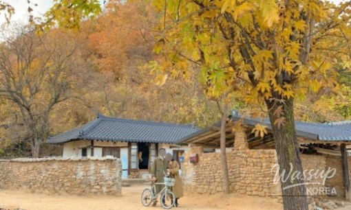 흥미로운 이미지