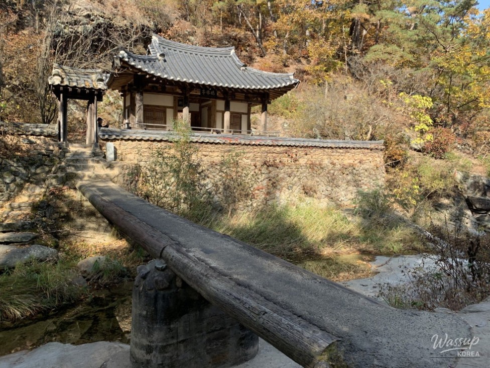 흥미로운 이미지