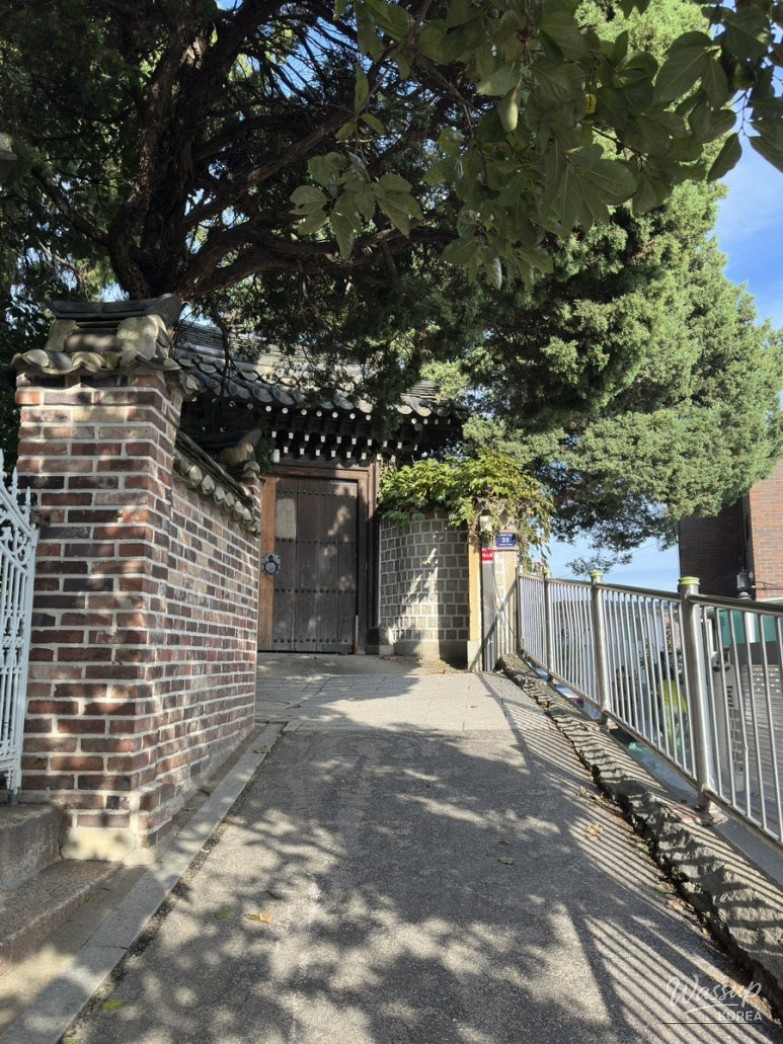 A collection of iconic miniature children's chairs at the entrance of the Yangyoodang exhibition