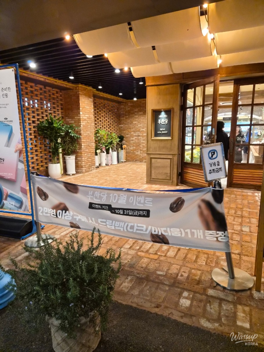 Mysterious Appearance