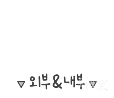 Refreshing highballs served alongside the fusion dishes