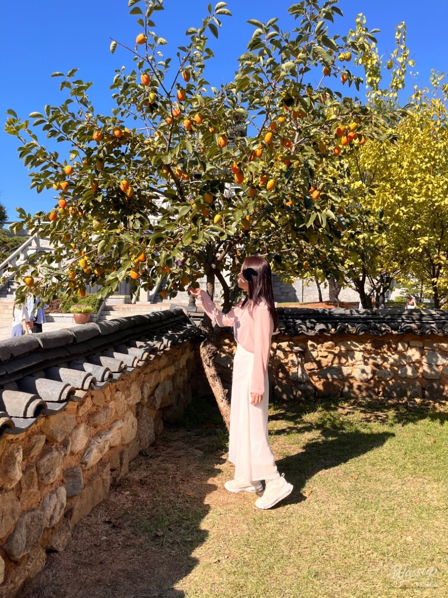 A child interacting with the digital constellation display in the Rediscovering the Sky exhibition