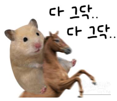 Luxurious dessert table featuring assorted cakes and pastries