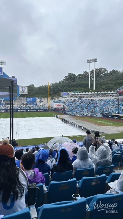 Impressive appearance