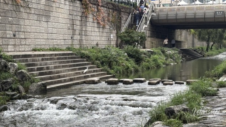 Traditional Korean door patterns adding to the Hanok atmosphere