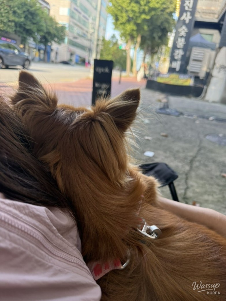 Impressive Appearance