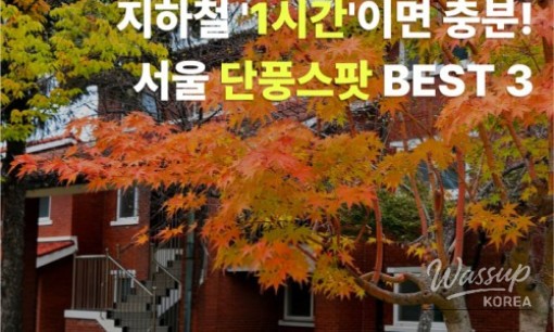 Mysterious appearance