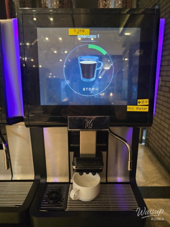 Mysterious Appearance