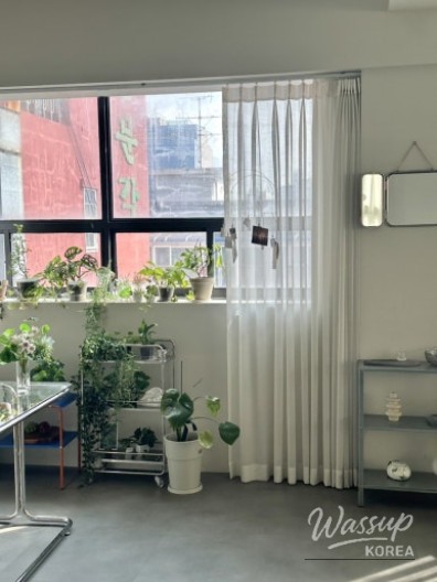 흥미로운 이미지