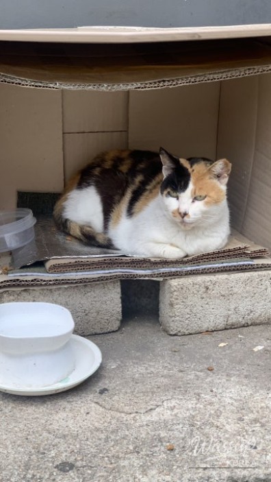 흥미로운 이미지