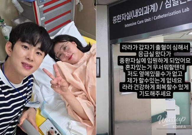 환상적인 장면