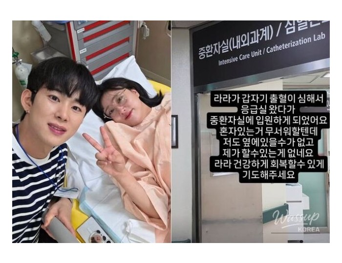 환상적인 장면