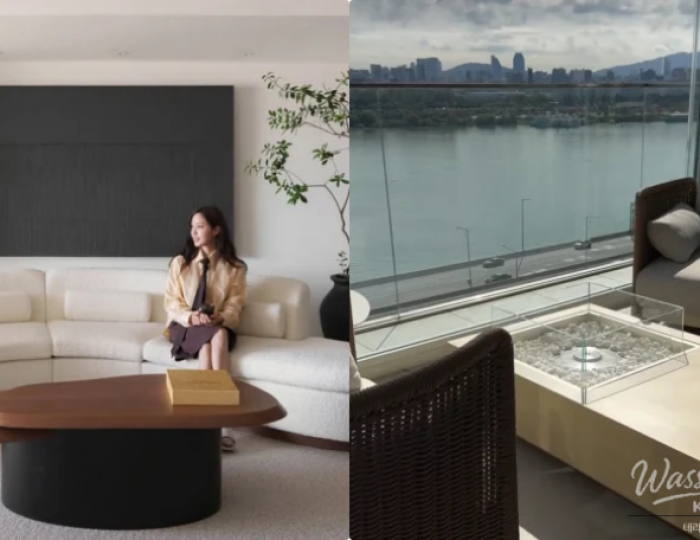 T-ara's Hyomin Unveils Luxurious Newlywed Life with Han River View float