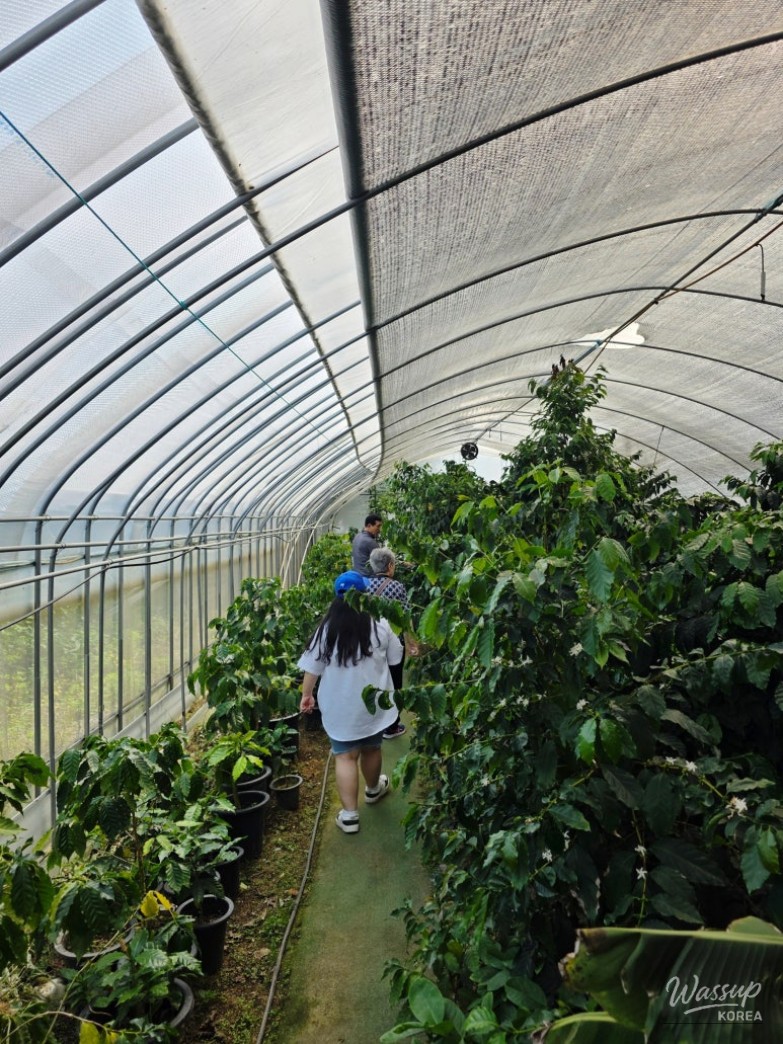 인상 깊은 모습