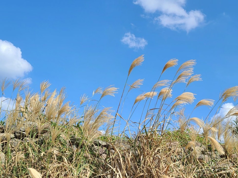 Impressive Appearance