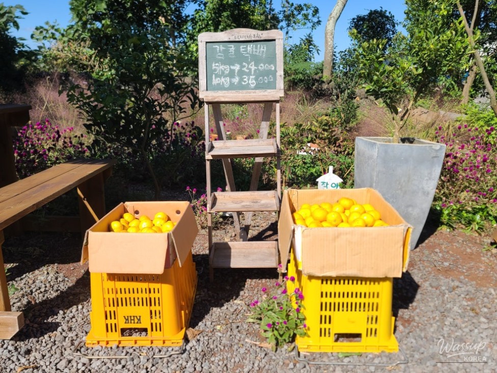 Impressive appearance