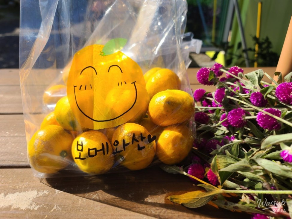 Mysterious appearance