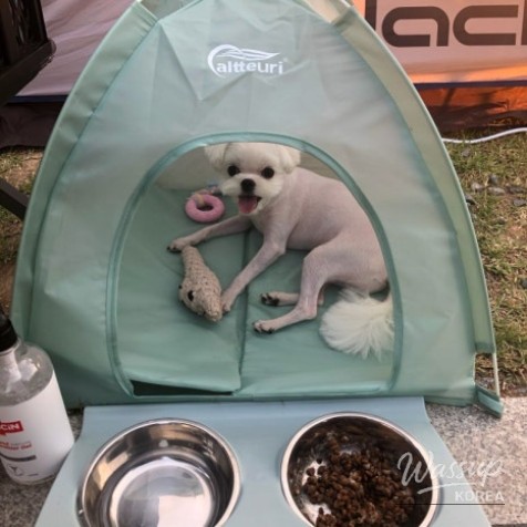 흥미로운 이미지