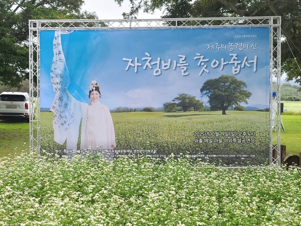 흥미로운 이미지